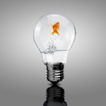 Fish in a Light Bulb - jumping | Faster Founders