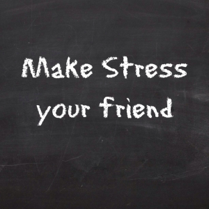 Make Stress your Friend